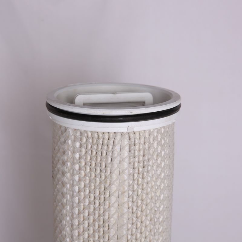 Ταινία 10 PTFE πτυχωμένη κασέτα φίλτρων μικρού 0.1um PP